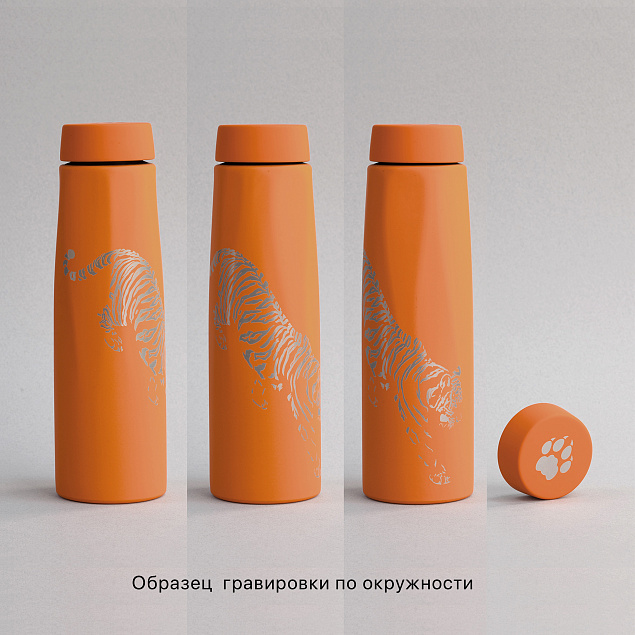 Термос "Calypso" 500 мл, покрытие soft touch, коробка с логотипом в Белгороде заказать по выгодной цене в кибермаркете AvroraStore