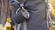 Кружка с карабином "Юта" 300 мл, покрытие soft touch с логотипом в Белгороде заказать по выгодной цене в кибермаркете AvroraStore