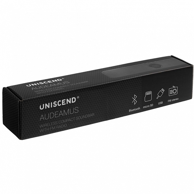 Беспроводная стереоколонка с FM-радио Uniscend Audeamus, черная с логотипом в Белгороде заказать по выгодной цене в кибермаркете AvroraStore