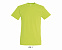 Фуфайка (футболка) REGENT мужская,Зеленое яблоко XXS с логотипом в Белгороде заказать по выгодной цене в кибермаркете AvroraStore