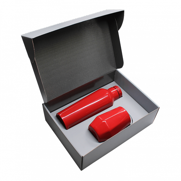 Набор Edge Box E grey (красный) с логотипом в Белгороде заказать по выгодной цене в кибермаркете AvroraStore