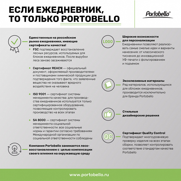Ежедневник Portobello Trend, Alpha, недатированный, серебро/серый с логотипом в Белгороде заказать по выгодной цене в кибермаркете AvroraStore