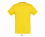 Фуфайка (футболка) REGENT мужская,Серый меланж XXS с логотипом в Белгороде заказать по выгодной цене в кибермаркете AvroraStore