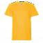 Футболка StanClass Жёлтый с логотипом в Белгороде заказать по выгодной цене в кибермаркете AvroraStore