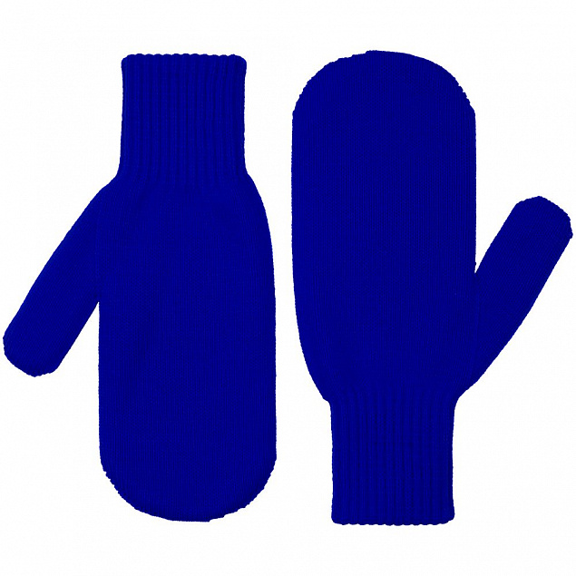Варежки Life Explorer, синие с логотипом в Белгороде заказать по выгодной цене в кибермаркете AvroraStore