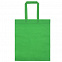 Сумка для покупок Span 70, зеленая с логотипом в Белгороде заказать по выгодной цене в кибермаркете AvroraStore