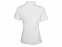 Рубашка поло "Calgary" женская с логотипом в Белгороде заказать по выгодной цене в кибермаркете AvroraStore
