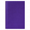 Ежедневник недатированный City Canyon 145х205 мм, без календаря, фиолетовый с логотипом в Белгороде заказать по выгодной цене в кибермаркете AvroraStore