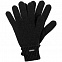 Перчатки Alpine, черные с логотипом в Белгороде заказать по выгодной цене в кибермаркете AvroraStore