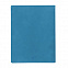 Бизнес-блокнот "Biggy", B5 формат, голубой, серый форзац, мягкая обложка, в клетку с логотипом в Белгороде заказать по выгодной цене в кибермаркете AvroraStore