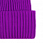 Шапка Yong, фиолетовая с логотипом в Белгороде заказать по выгодной цене в кибермаркете AvroraStore
