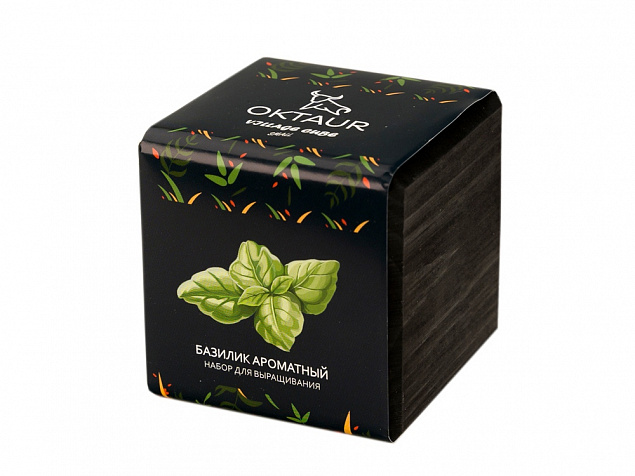 Набор для выращивания «Small village cube «Базилик ароматный» с логотипом в Белгороде заказать по выгодной цене в кибермаркете AvroraStore