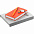 Набор Idea Memory, красный с логотипом в Белгороде заказать по выгодной цене в кибермаркете AvroraStore