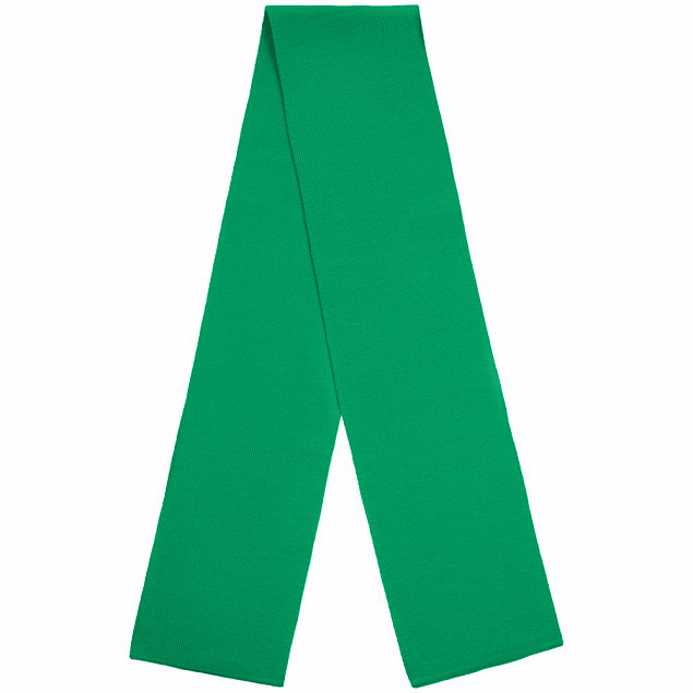 Шарф Urban Flow, зеленый с логотипом в Белгороде заказать по выгодной цене в кибермаркете AvroraStore