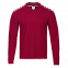Рубашка поло Рубашка мужская 04S Бордовый с логотипом в Белгороде заказать по выгодной цене в кибермаркете AvroraStore