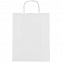 Пакет бумажный Willy, малый, белый с логотипом в Белгороде заказать по выгодной цене в кибермаркете AvroraStore