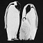 Свитшот детский Like a Penguin, черный с логотипом в Белгороде заказать по выгодной цене в кибермаркете AvroraStore