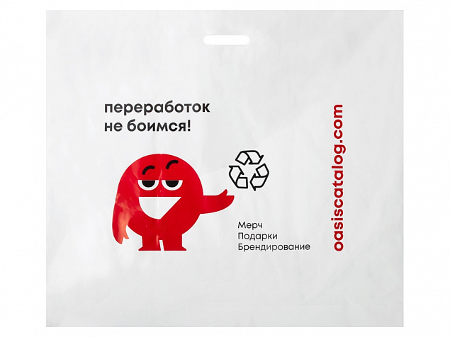 Фирменный пакет Oasis, L с логотипом в Белгороде заказать по выгодной цене в кибермаркете AvroraStore