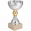 Кубок Grail, серебристый с логотипом в Белгороде заказать по выгодной цене в кибермаркете AvroraStore