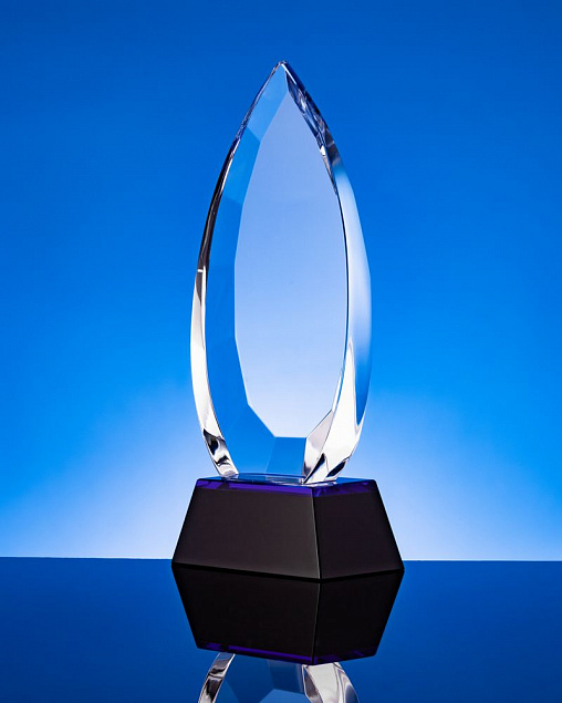 Награда Droplet с логотипом в Белгороде заказать по выгодной цене в кибермаркете AvroraStore