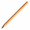 Шариковая ручка Chavez, зеленая с логотипом в Белгороде заказать по выгодной цене в кибермаркете AvroraStore