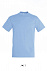 Фуфайка (футболка) REGENT мужская,Голубой L с логотипом в Белгороде заказать по выгодной цене в кибермаркете AvroraStore