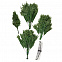 Искусственная ель Ms.Tree, 210 см с логотипом в Белгороде заказать по выгодной цене в кибермаркете AvroraStore