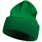 Шапка Franky, зеленая с логотипом в Белгороде заказать по выгодной цене в кибермаркете AvroraStore