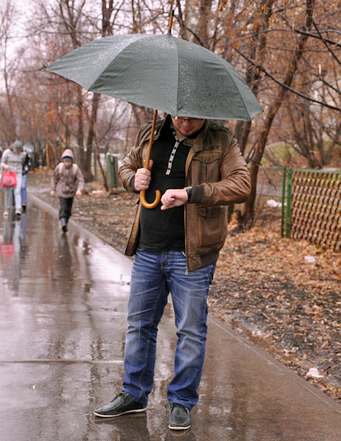 Зонт-трость с деревянной ручкой "Денди" с логотипом в Белгороде заказать по выгодной цене в кибермаркете AvroraStore
