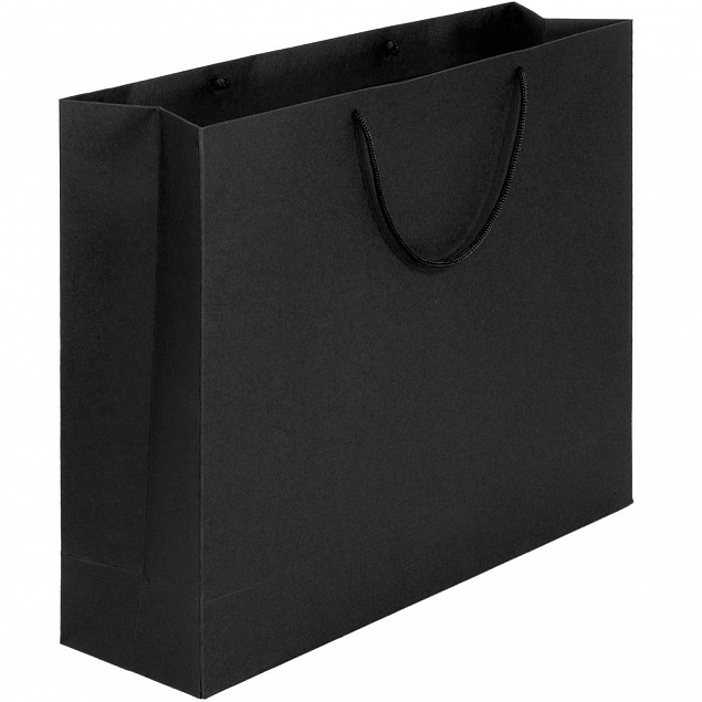 Пакет Ample L, черный с логотипом в Белгороде заказать по выгодной цене в кибермаркете AvroraStore