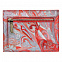 Чехол для карт Gourji "Жар-птица" 133х100х10 сафьяно с логотипом в Белгороде заказать по выгодной цене в кибермаркете AvroraStore