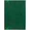 Ежедневник Vivian, недатированный, зеленый с логотипом в Белгороде заказать по выгодной цене в кибермаркете AvroraStore