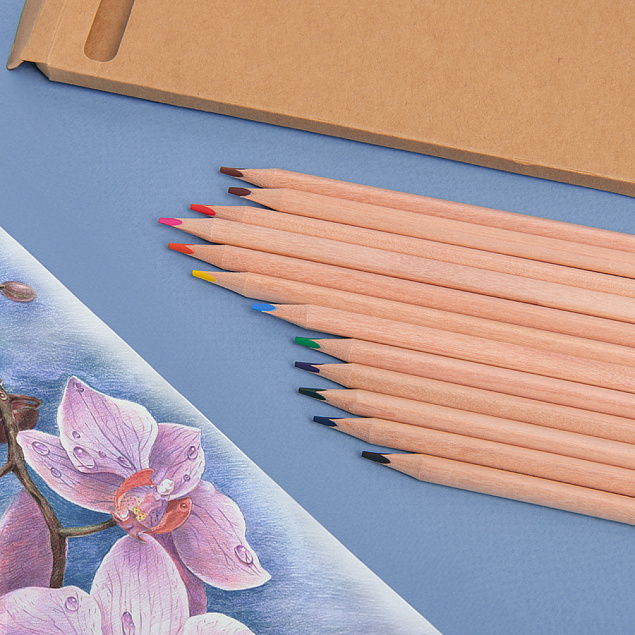 Набор цветных карандашей KINDERLINE middlel,12 цветов, дерево, картон с логотипом в Белгороде заказать по выгодной цене в кибермаркете AvroraStore