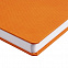 Набор Grade, оранжевый с логотипом в Белгороде заказать по выгодной цене в кибермаркете AvroraStore