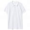 Рубашка поло мужская PHOENIX MEN, белая с логотипом в Белгороде заказать по выгодной цене в кибермаркете AvroraStore