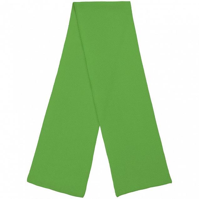 Шарф Life Explorer, зеленый с логотипом в Белгороде заказать по выгодной цене в кибермаркете AvroraStore