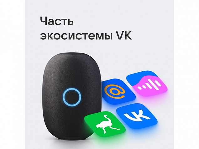 Умная колонка «Капсула» с голосовым помощником Марусей с логотипом в Белгороде заказать по выгодной цене в кибермаркете AvroraStore