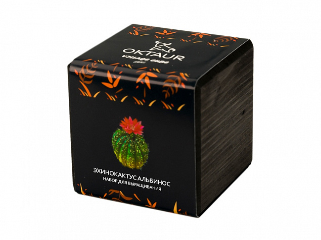 Набор для выращивания «Small village cube «Эхинокактус Альбинос» с логотипом в Белгороде заказать по выгодной цене в кибермаркете AvroraStore
