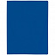 Папка с прижимом Expert, синяя с логотипом в Белгороде заказать по выгодной цене в кибермаркете AvroraStore