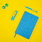 Набор COLORSPRING: аккумулятор, ручка, бизнес-блокнот, коробка со стружкой, голубой/желтый с логотипом в Белгороде заказать по выгодной цене в кибермаркете AvroraStore