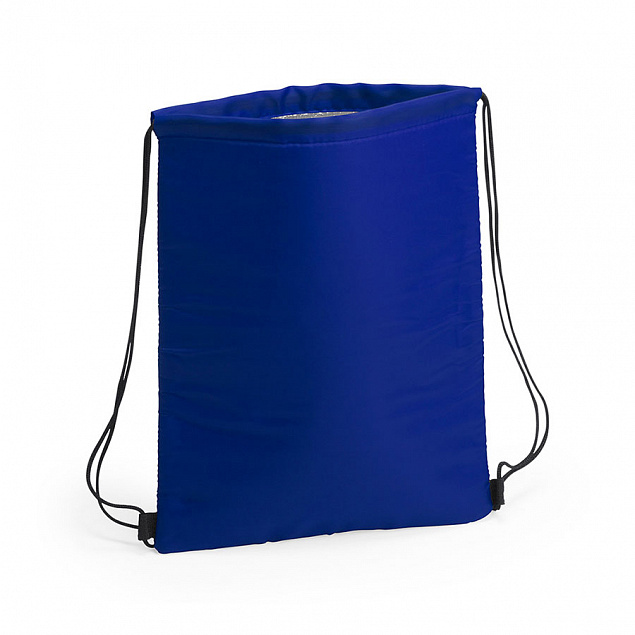 Термосумка NIPEX, синий, полиэстер, алюминивая подкладка, 32 x 42  см с логотипом в Белгороде заказать по выгодной цене в кибермаркете AvroraStore
