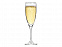 Бокал для шампанского «Flute» с логотипом в Белгороде заказать по выгодной цене в кибермаркете AvroraStore