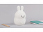 Ночник LED Rabbit с логотипом в Белгороде заказать по выгодной цене в кибермаркете AvroraStore