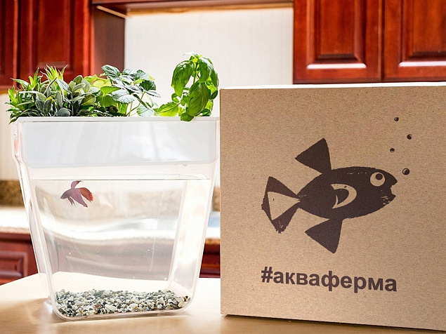 Набор для выращивания растений и ухода за рыбкой Акваферма с логотипом в Белгороде заказать по выгодной цене в кибермаркете AvroraStore