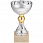 Кубок Grail, серебристый с логотипом в Белгороде заказать по выгодной цене в кибермаркете AvroraStore