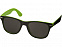 Солнцезащитные очки Sun Ray, лайм/черный (Р) с логотипом в Белгороде заказать по выгодной цене в кибермаркете AvroraStore