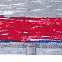 Футболка мужская RAYET двусторонняя, красная с синим с логотипом в Белгороде заказать по выгодной цене в кибермаркете AvroraStore