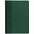 Ежедневник BRAND, недатированный, зеленый с логотипом в Белгороде заказать по выгодной цене в кибермаркете AvroraStore