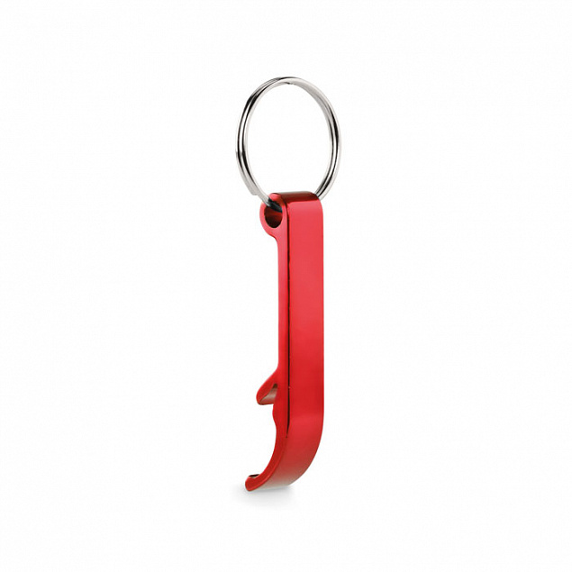Кольцо для ключей из переработа с логотипом в Белгороде заказать по выгодной цене в кибермаркете AvroraStore