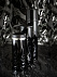Термостакан Gems Black Morion, черный морион с логотипом в Белгороде заказать по выгодной цене в кибермаркете AvroraStore